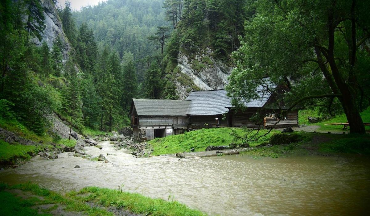 Prazdninove Byty U Kamarata Habovka Exteriör bild