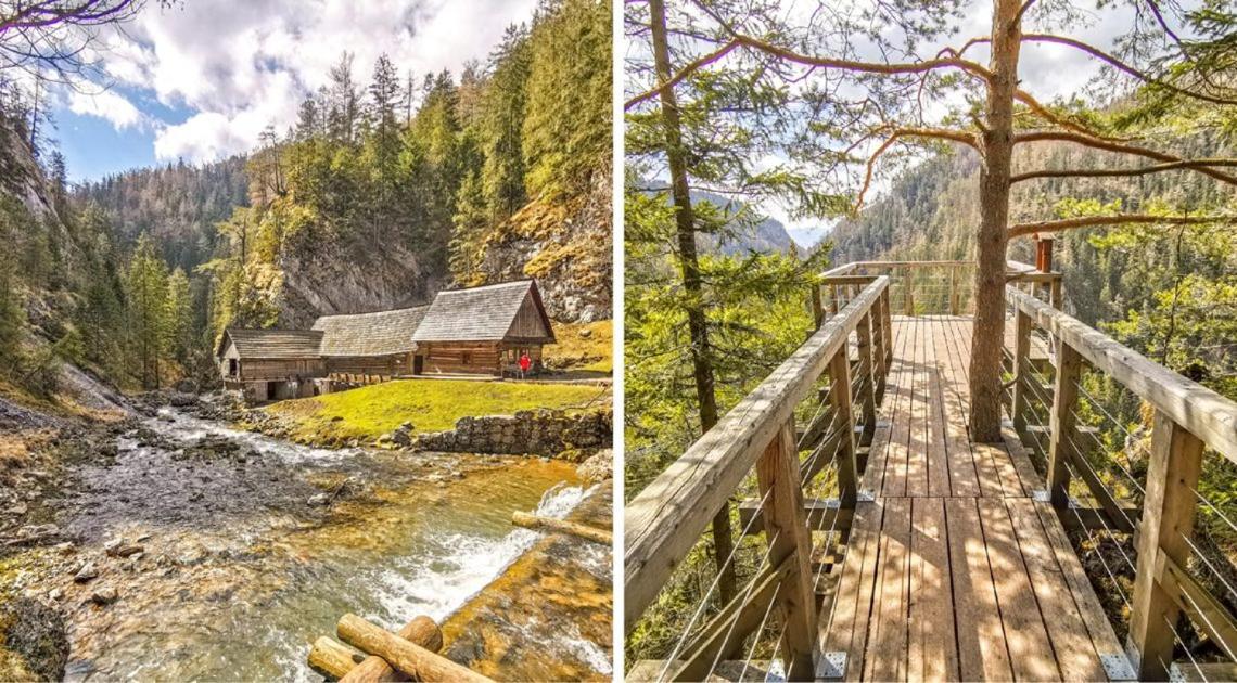 Prazdninove Byty U Kamarata Habovka Exteriör bild