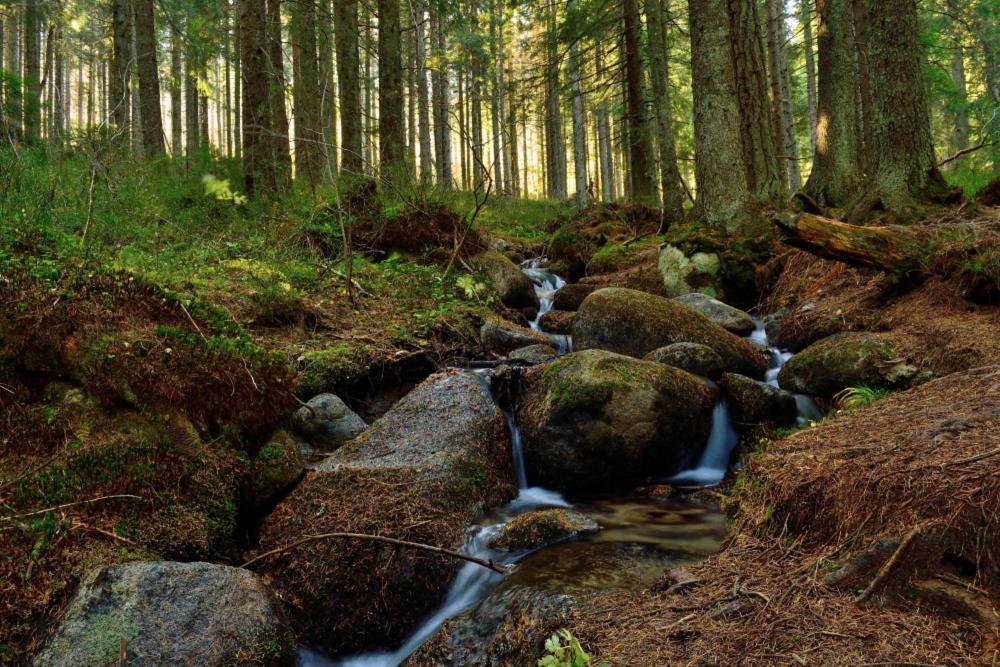 Prazdninove Byty U Kamarata Habovka Exteriör bild