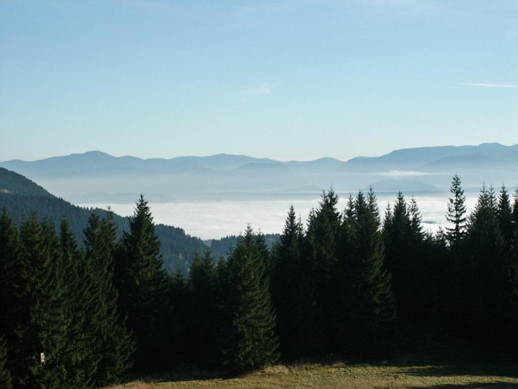 Prazdninove Byty U Kamarata Habovka Exteriör bild