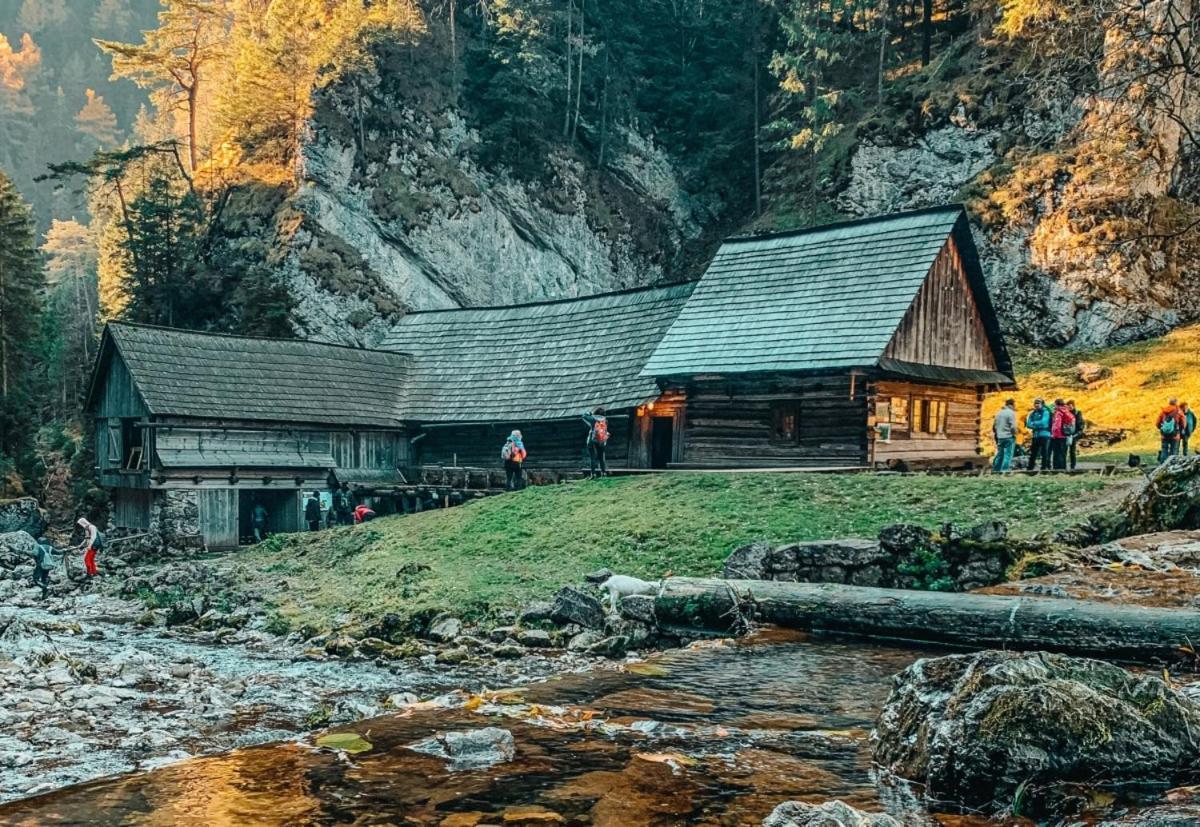 Prazdninove Byty U Kamarata Habovka Exteriör bild